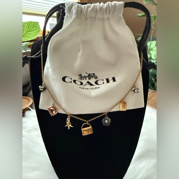 NEW‼️ COACH Mini tabby Handbag Charm Necklace - Picture 10 of 16